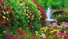 Частные сады ландшафтный дизайн Севастополь Крым